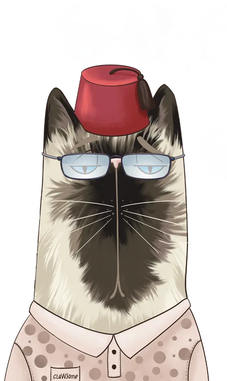 Fez Cat