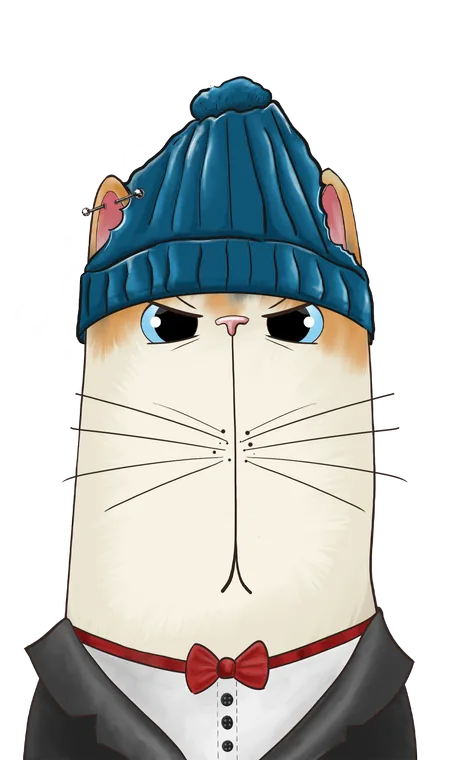 Beanie Cat